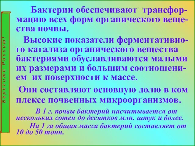 Бактерии обеспечивают трансфор-мацию всех форм органического веще-ства почвы. Высокие показатели ферментативно-