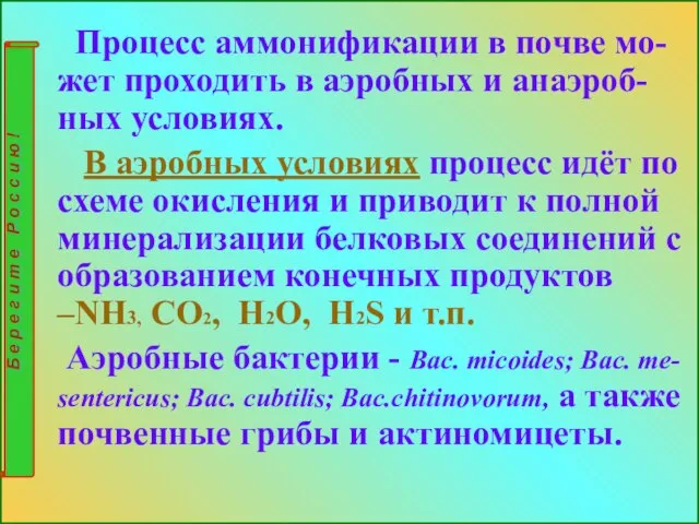 Процесс аммонификации в почве мо-жет проходить в аэробных и анаэроб-ных условиях.