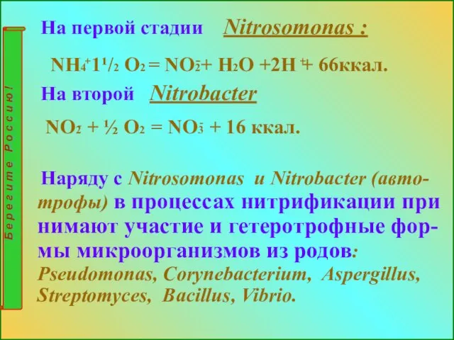 На первой стадии Nitrosomonas : NH4 1¹/2 O2 = NO2+ H2O