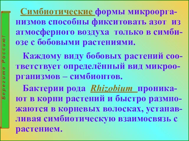 Симбиотические формы микроорга-низмов способны фикситовать азот из атмосферного воздуха только в