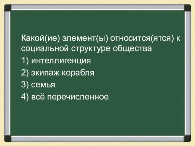 Какой(ие) элемент(ы) относится(ятся) к социальной структуре общества 1) интеллигенция 2) экипаж