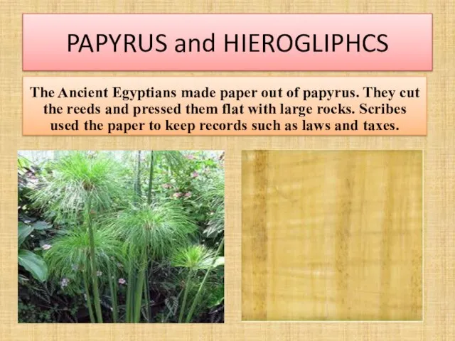 PAPYRUS and HIEROGLIPHCS The Ancient Egyptians made paper out of papyrus.