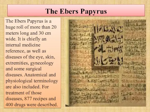 The Ebers Papyrus The Ebers Papyrus is a huge roll of