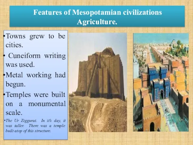 Features of Mesopotamian civilizations Agriculture. Towns grew to be cities. Cuneiform