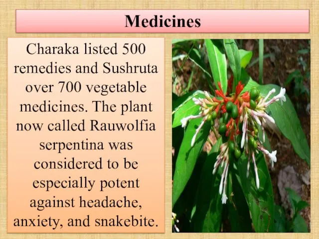 Medicines Charaka listed 500 remedies and Sushruta over 700 vegetable medicines.