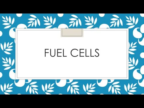 FUEL CELLS