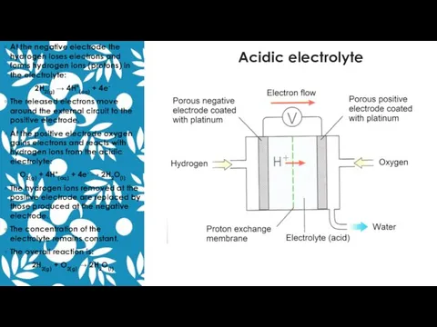 Acidic electrolyte At the negative electrode the hydrogen loses electrons and