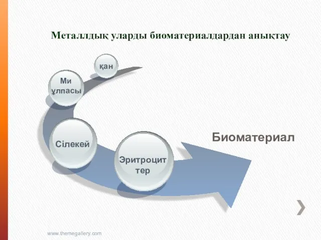 Металлдық уларды биоматериалдардан анықтау www.themegallery.com Биоматериал Эритроциттер Ми ұлпасы қан