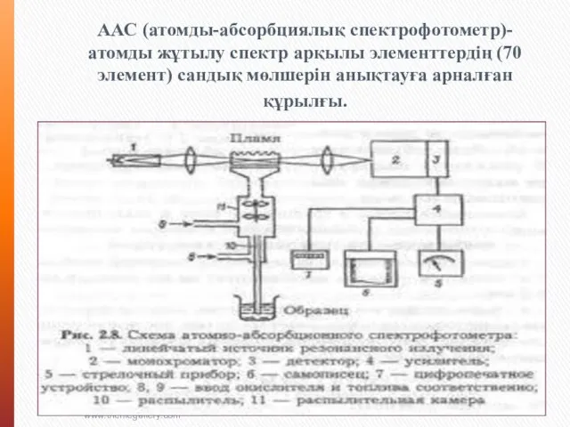 ААС (атомды-абсорбциялық спектрофотометр)- атомды жұтылу спектр арқылы элементтердің (70 элемент) сандық мөлшерін анықтауға арналған құрылғы. www.themegallery.com