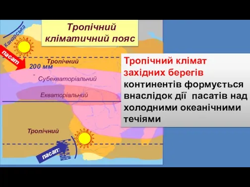 Тропічний Канарська Тропічний Субекваторіальний Екваторіальний пасат пасат Бенгельська Тропічний кліматичний пояс