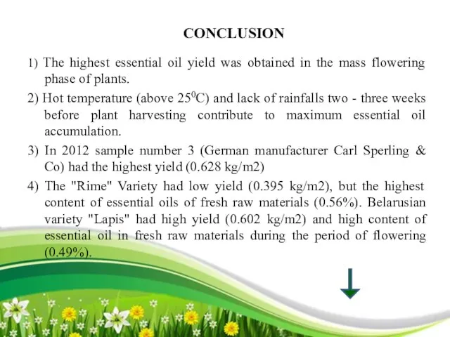 CONCLUSION 1) The highest essential oil yield was obtained in the