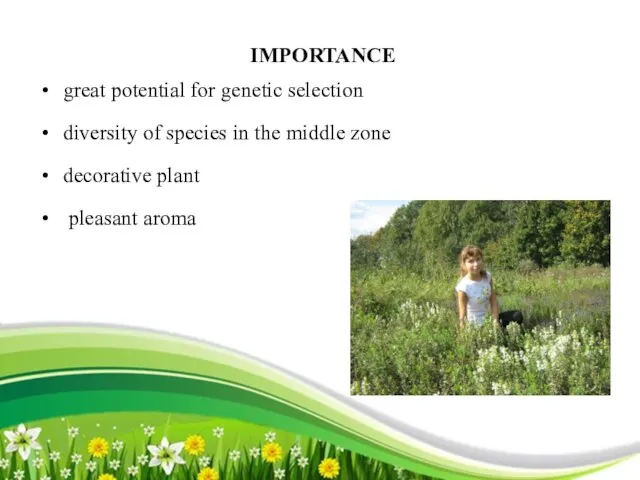 IMPORTANCE great potential for genetic selection diversity of species in the