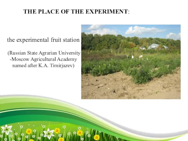 the experimental fruit station (Russian State Agrarian University -Moscow Agricultural Academy