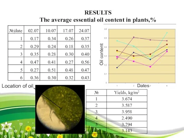 RESULTS The average essential oil content in plants,% Dates Oil content Location of oil