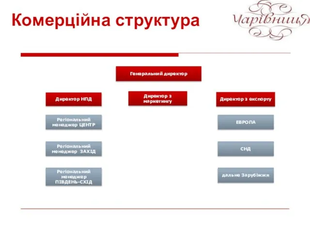 Комерційна структура Генеральний директор Директор НПД Директор з експорту Регіональний менеджер