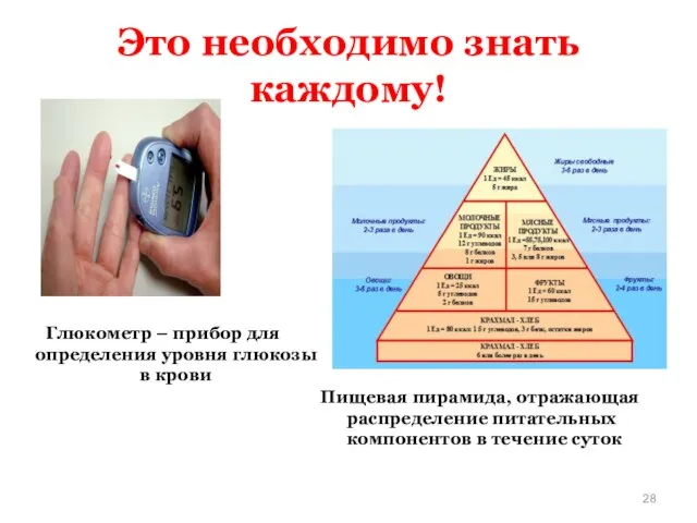 Пищевая пирамида, отражающая распределение питательных компонентов в течение суток Глюкометр –