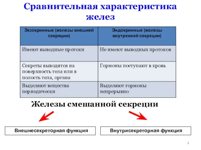 Сравнительная характеристика желез Внешнесекреторная функция Внутрисекреторная функция Железы смешанной секреции