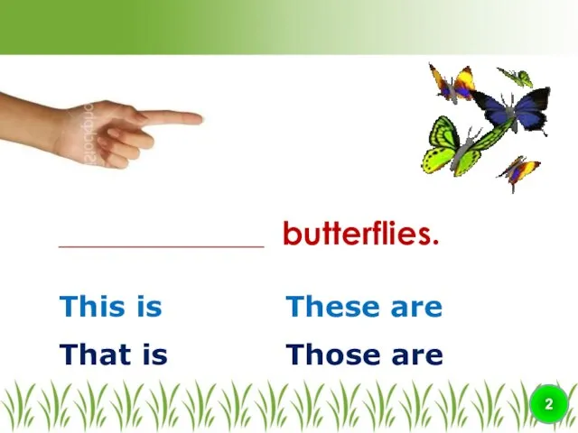 This is These are ________________ butterflies. 2 That is Those are