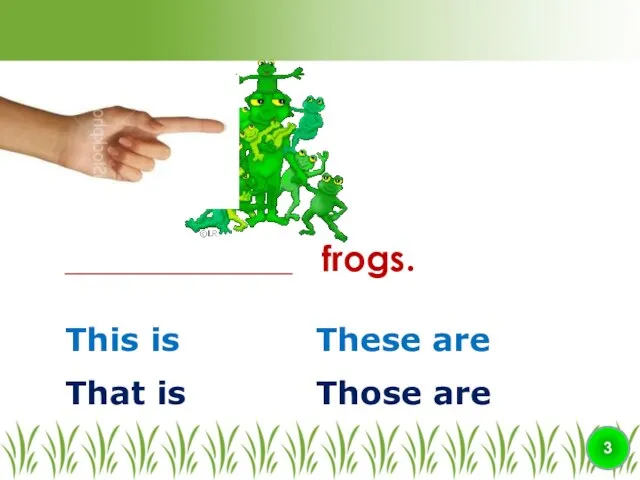 This is ________________ frogs. 3 That is Those are These are