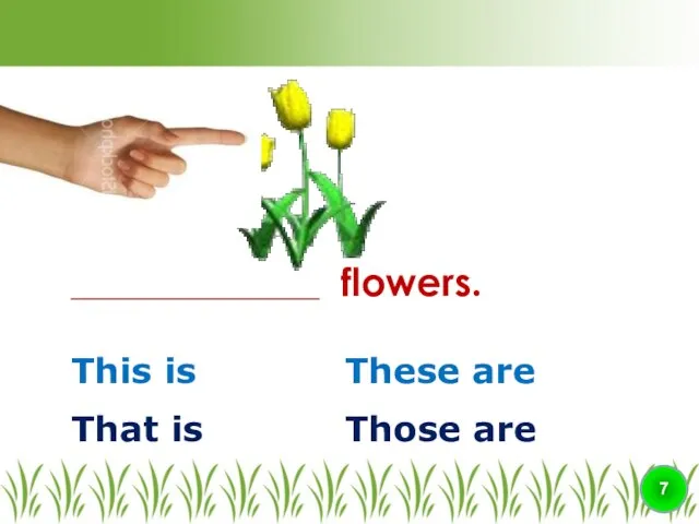 This is ________________ flowers. 7 That is Those are These are