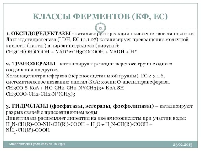 КЛАССЫ ФЕРМЕНТОВ (КФ, EC) 25.02.2013 Биологическая роль белков. Лекция 1. ОКСИДОРЕДУКТАЗЫ