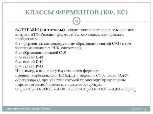 КЛАССЫ ФЕРМЕНТОВ (КФ, EC) 25.02.2013 Биологическая роль белков. Лекция 6. ЛИГАЗЫ