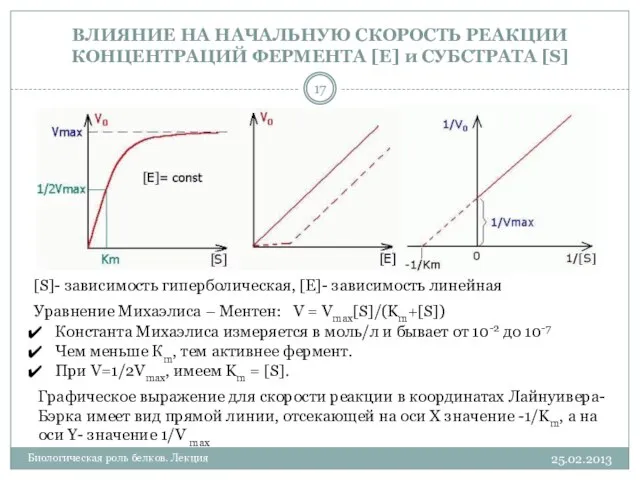 ВЛИЯНИЕ НА НАЧАЛЬНУЮ СКОРОСТЬ РЕАКЦИИ КОНЦЕНТРАЦИЙ ФЕРМЕНТА [E] и СУБСТРАТА [S]