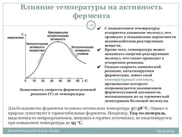 25.02.2013 Биологическая роль белков. Лекция Влияние температуры на активность фермента Зависимость