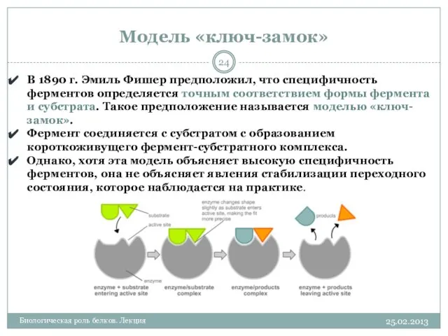 Модель «ключ-замок» 25.02.2013 Биологическая роль белков. Лекция В 1890 г. Эмиль