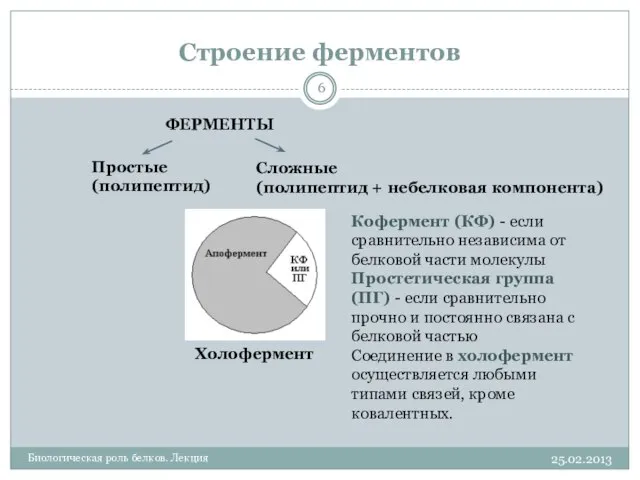 Строение ферментов 25.02.2013 Биологическая роль белков. Лекция ФЕРМЕНТЫ Простые (полипептид) Сложные