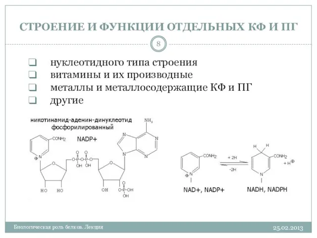 СТРОЕНИЕ И ФУНКЦИИ ОТДЕЛЬНЫХ КФ И ПГ 25.02.2013 Биологическая роль белков.