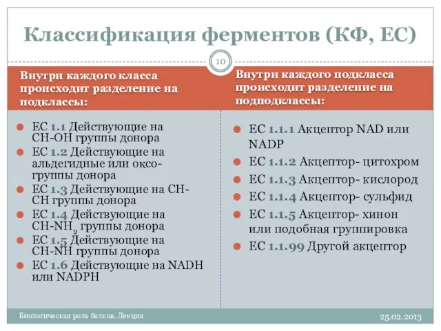 Внутри каждого класса происходит разделение на подклассы: Внутри каждого подкласса происходит