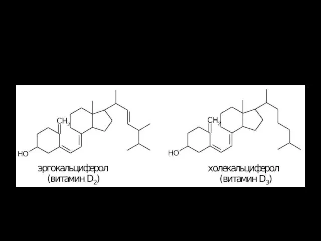 Витамин D — является жирорастворимым витамином. К нему относят эргокальциферол (витамин D2) и холекальциферол (витамин D3)
