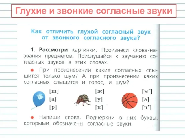 Глухие и звонкие согласные звуки