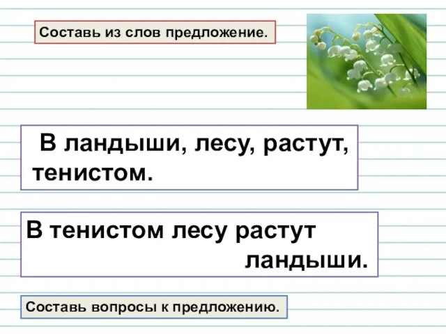 Составь из слов предложение. В тенистом лесу растут ландыши. В ландыши,