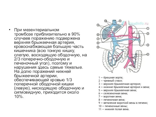 При мезентериальном тромбозе приблизительно в 90% случаев поражению подвержена верхняя брыжеечная