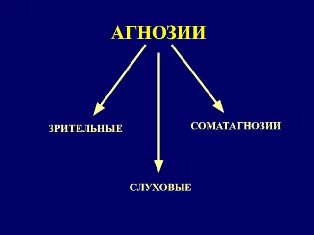 АГНОЗИИ ЗРИТЕЛЬНЫЕ СОМАТАГНОЗИИ СЛУХОВЫЕ