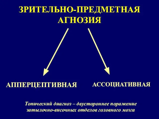 ЗРИТЕЛЬНО-ПРЕДМЕТНАЯ АГНОЗИЯ АППЕРЦЕПТИВНАЯ АССОЦИАТИВНАЯ Топический диагноз – двустороннее поражение затылочно-височных отделов головного мозга