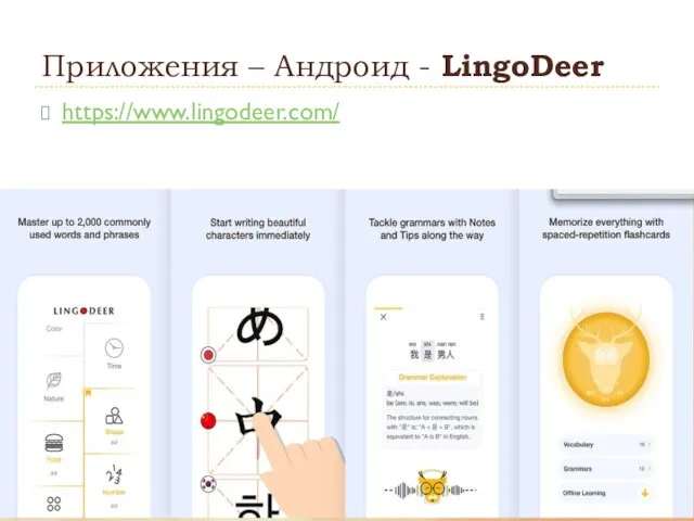 Приложения – Андроид - LingoDeer https://www.lingodeer.com/