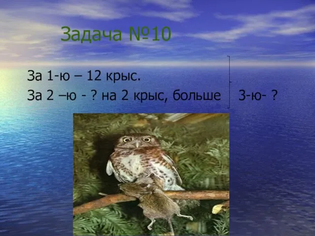 Задача №10 За 1-ю – 12 крыс. За 2 –ю -