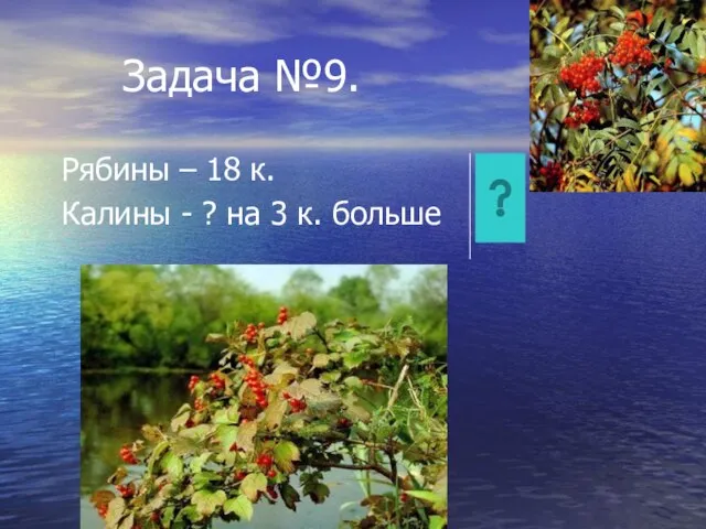 Задача №9. Рябины – 18 к. Калины - ? на 3 к. больше