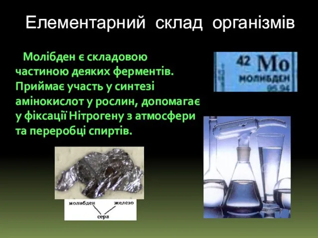 Молібден є складовою частиною деяких ферментів. Приймає участь у синтезі амінокислот