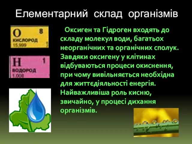 Оксиген та Гідроген входять до складу молекул води, багатьох неорганічних та