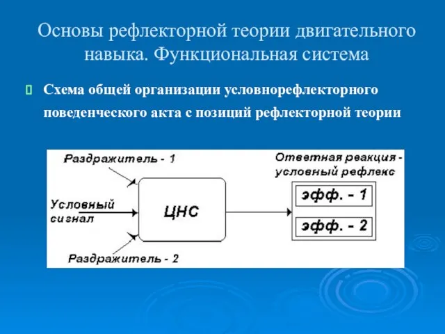 Основы рефлекторной теории двигательного навыка. Функциональная система Схема общей организации условнорефлекторного