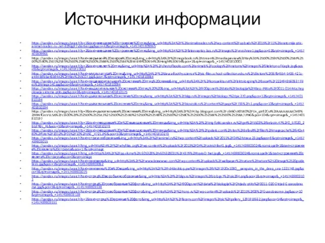 Источники информации https://yandex.ru/images/search?p=1&text=внешнее%20строение%20птиц&img_url=http%3A%2F%2Fanimalreader.ru%2Fwp-content%2Fuploads%2F2015%2F11%2Fanatomija-ptic-animal-reader.-ru-.net-d29ijq97v3er6er.jpg&pos=42&rpt=simage&_=1457401809965 https://yandex.ru/images/search?p=2&text=внешнее%20строение%20птиц&img_url=http%3A%2F%2Ffateevapticy.bos.ru%2Fimages%2Fvneshnee1.jpg&pos=62&rpt=simage&_=1457401809966 https://yandex.ru/images/search?text=перьевой%20покров%20птиц&img_url=http%3A%2F%2Fmegabook.ru%2Fstream%2Fmediapreview%3FKey%3D%25D0%259E%25D0%25BF%25D0%25B0%25D1%2585%25D0%25B0%25D0%25BB%25D0%25BE%26Width%3D654%26Height%3D654&pos=1&rpt=simage&_=1457401810001 https://yandex.ru/images/search?p=2&text=скелет%20птиц&img_url=http%3A%2F%2Fchestofbooks.com%2Fanimals%2Fzoology%2FAnatomy%2Fimages%2FSkeleton-of-Eagle.jpg&pos=86&rpt=simage&_=1457401810032 https://yandex.ru/images/search?text=мускулатура%20птиц&img_url=http%3A%2F%2Fdaucaifoothy.science%2Fpic-files.school-collection.edu.ru%2Fdlrstore%2F36fb4554-5436-421c-a444-b9bba46b9442%2FFiles%255C07.jpg&pos=7&rpt=simage&_=1457401810064 https://yandex.ru/images/search?text=пищеварительная%20система%20птиц%20схема&img_url=http%3A%2F%2Fkonspekta.net%2Flektsiiorgimg%2Fbaza4%2F2224943560637.files%2Fimage140.jpg&pos=8&rpt=simage&_=1457401810094 https://yandex.ru/images/search?text=выделительная%20система%20птиц%20%20&img_url=http%3A%2F%2F900igr.net%2Fdatai%2Fbiologija%2FKlass-Ptitsy%2F0011-014-Mochepolovaja-sistema-ptits.jpg&pos=3&rpt=simage&_=1457401810175 https://yandex.ru/images/search?text=дыхательная%20система%20птиц&img_url=http%3A%2F%2Fblgy.ru%2Fimages%2Fbiology7%2Fpic270.png&pos=12&rpt=simage&_=1457401810194 https://yandex.ru/images/search?text=дыхательная%20система%20птиц&img_url=http%3A%2F%2Fbiouroki.ru%2Fcontent%2Fpage%2F736%2Fs1.png&pos=10&rpt=simage&_=1457401810194