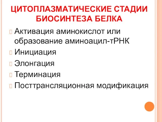 ЦИТОПЛАЗМАТИЧЕСКИЕ СТАДИИ БИОСИНТЕЗА БЕЛКА Активация аминокислот или образование аминоацил-тРНК Инициация Элонгация Терминация Посттрансляционная модификация