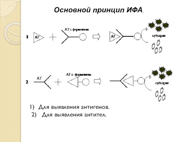 Основной принцип ИФА. Для выявления антигенов. 2) Для выявления антител.