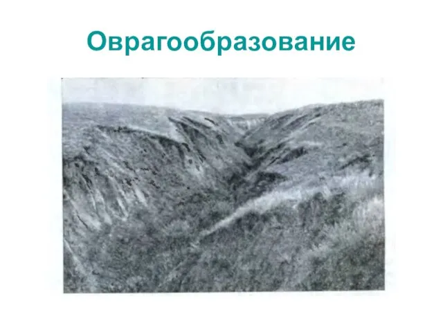 Оврагообразование