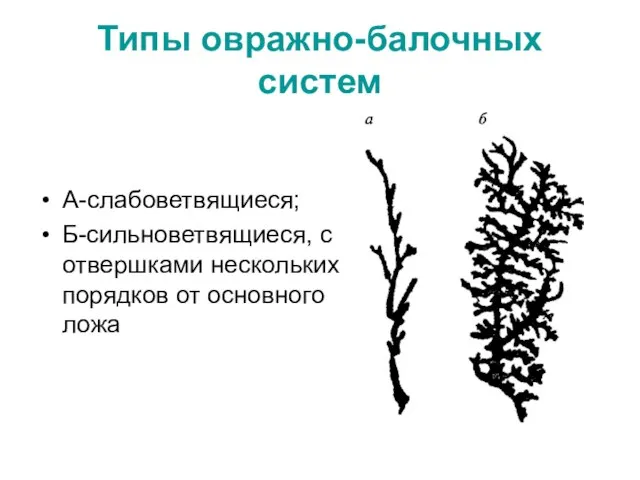 Типы овражно-балочных систем А-слабоветвящиеся; Б-сильноветвящиеся, с отвершками нескольких порядков от основного ложа