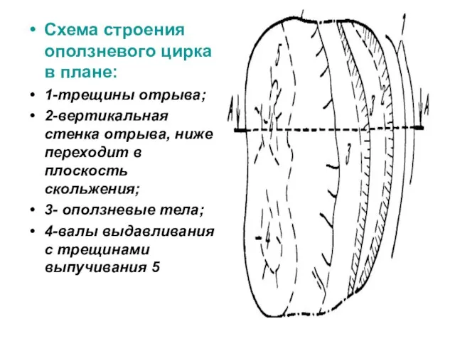 Схема строения оползневого цирка в плане: 1-трещины отрыва; 2-вертикальная стенка отрыва,